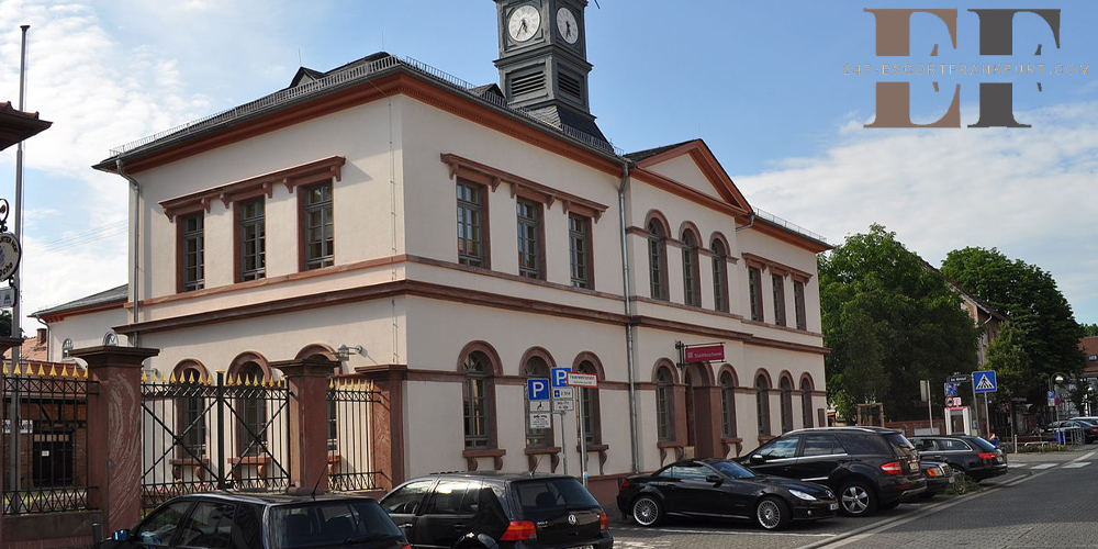 Schwanheim Models